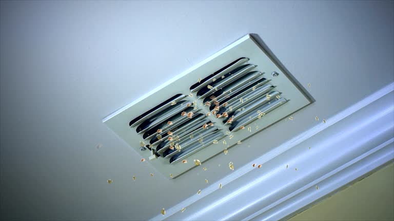 Best Best Air Duct Cleaning Company  in Wellsville, MO